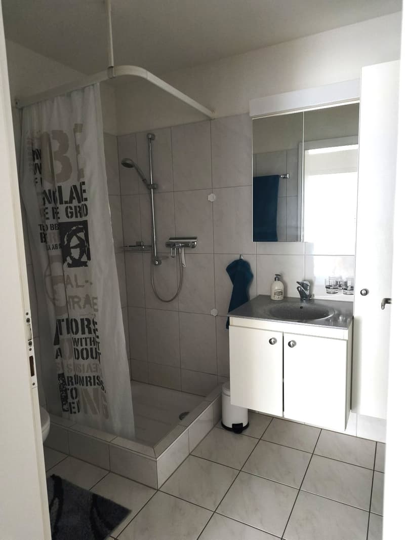 Privatzimmer mit eigener Dusche/WC, 28 Min bis ZH HB, inkl. Reinigung (5)