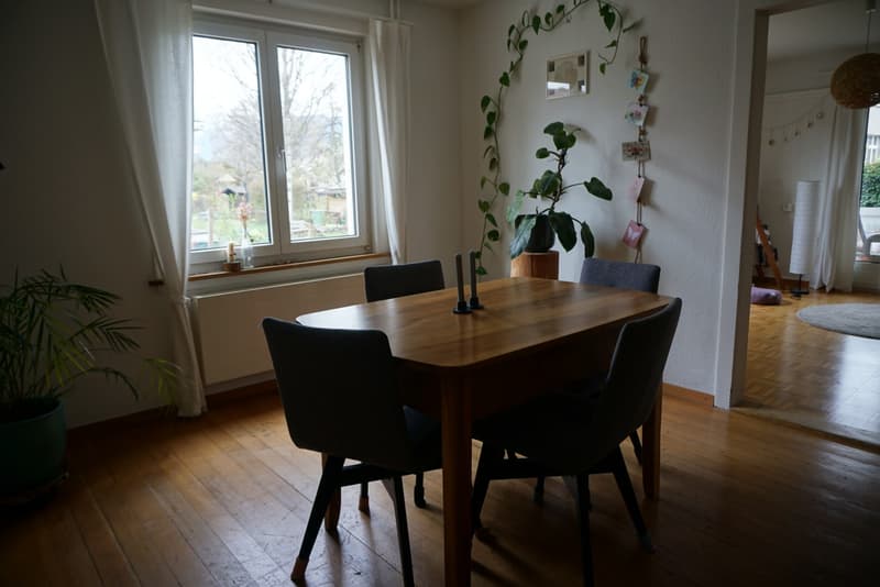 Untervermietung möbilierte 3.5-Zimmerwohnung (3)