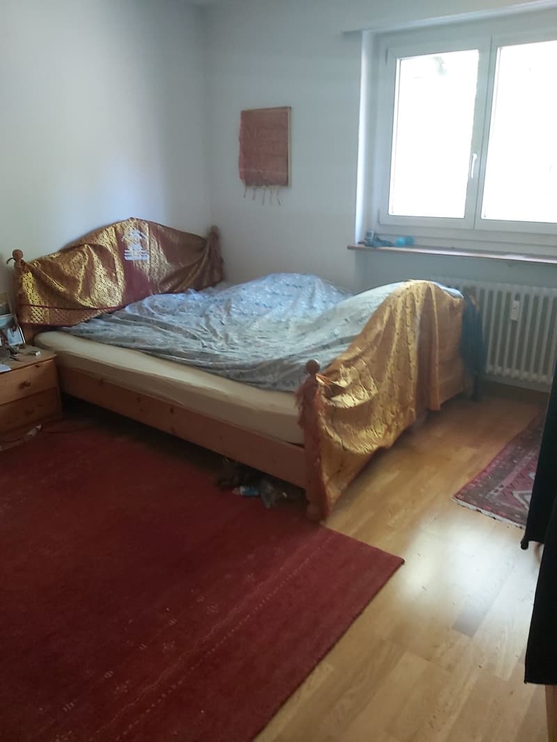Grosszügige, ruhige Wohnung im Grünen (2)