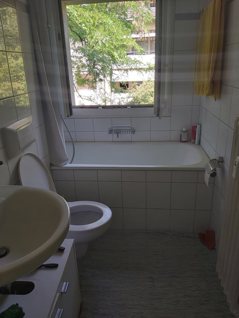 Grosszügige, ruhige Wohnung im Grünen (4)