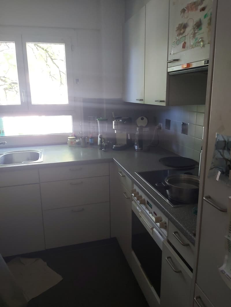 Grosszügige, ruhige Wohnung im Grünen (1)