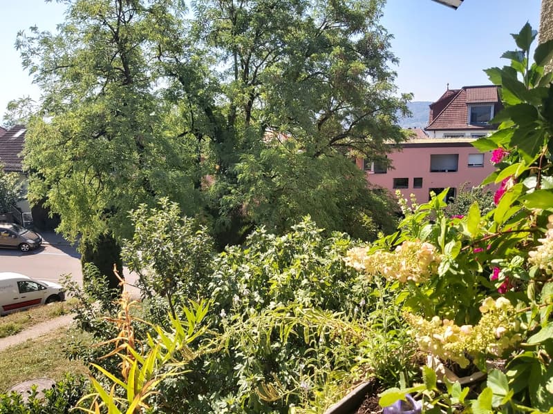 Grosszügige, ruhige Wohnung im Grünen (5)