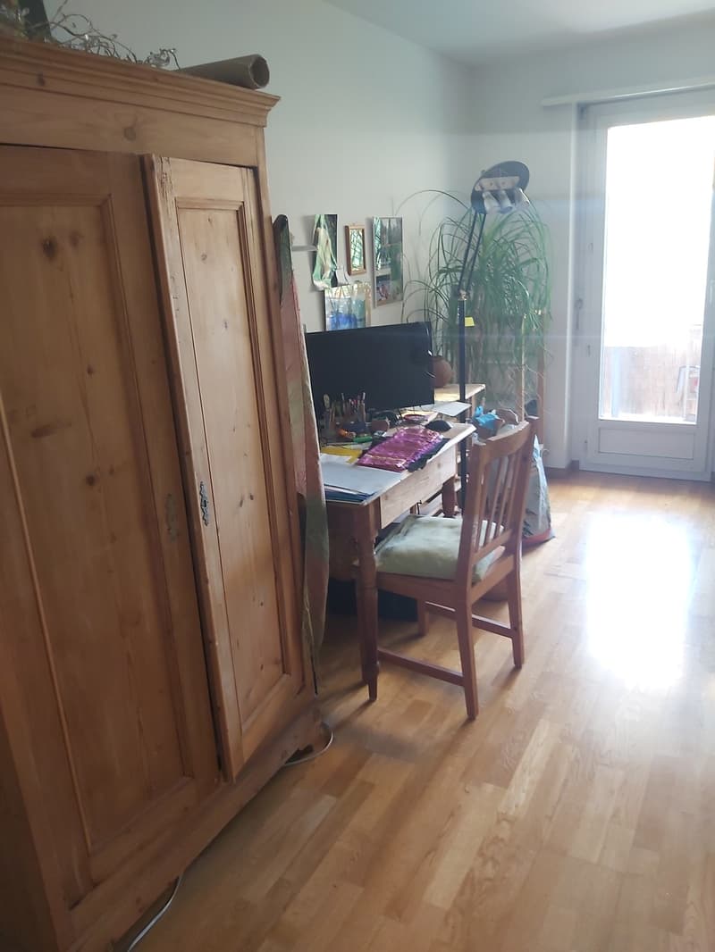Grosszügige, ruhige Wohnung im Grünen (3)