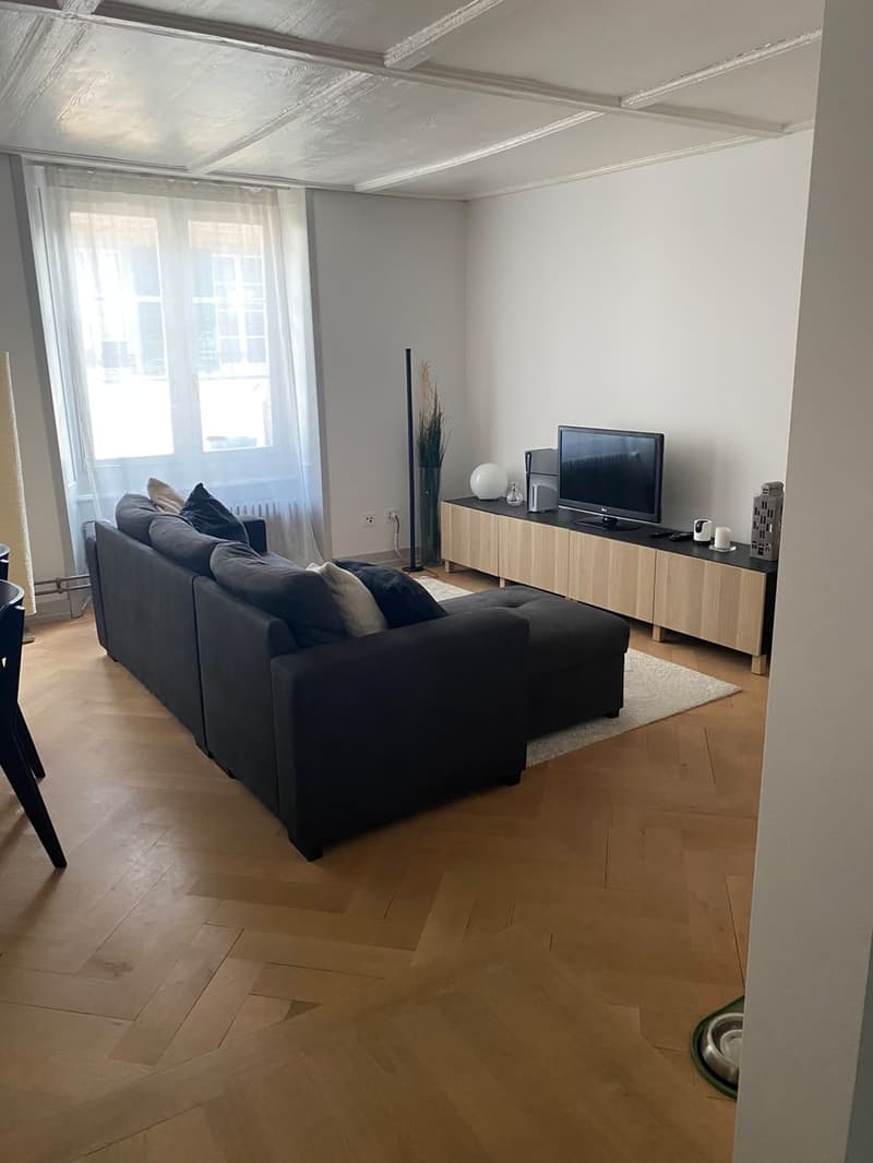 Charmante 3.5 Zimmer - Altstadtwohnung  zentral & cozy (4)