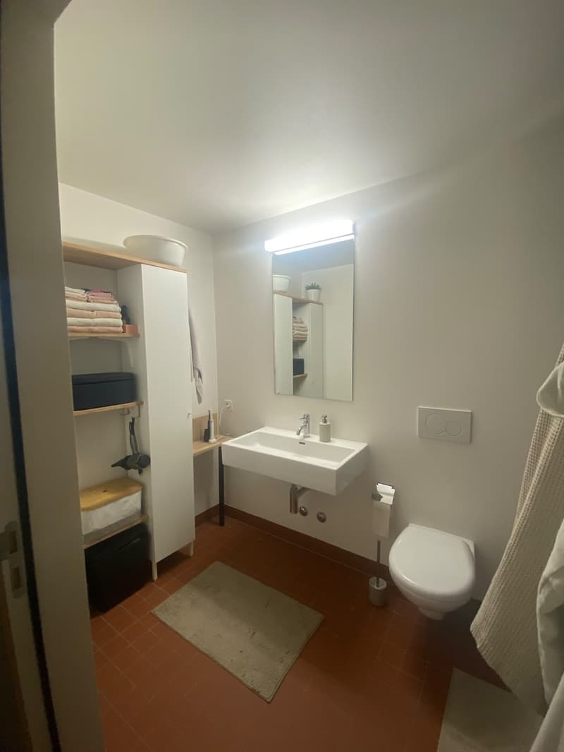 Charmante 3.5 Zimmer - Altstadtwohnung  zentral & cozy (12)