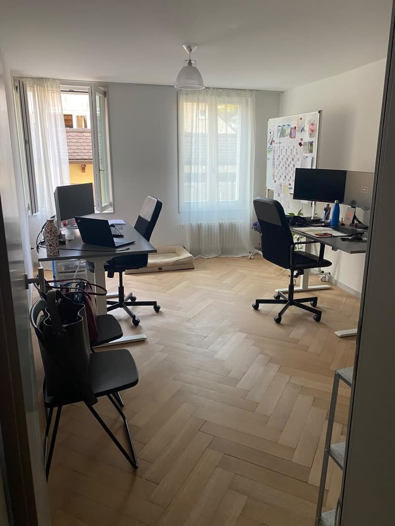 Charmante 3.5 Zimmer - Altstadtwohnung  zentral & cozy (10)