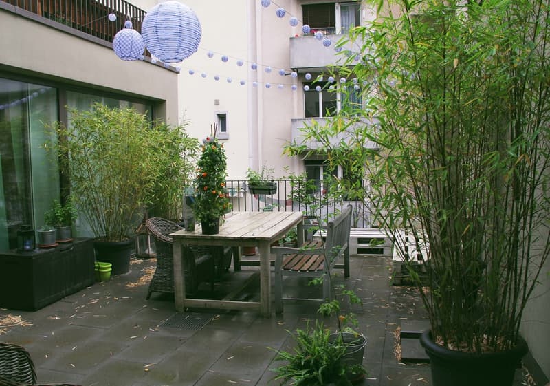 Sehr zentrale und moderne Stadtwohnung mit grosser Terrasse (3)