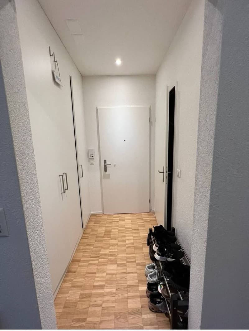 Rent Apartment (5)