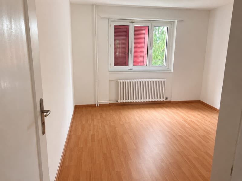 zentrale Wohnung in Wettingen (1)