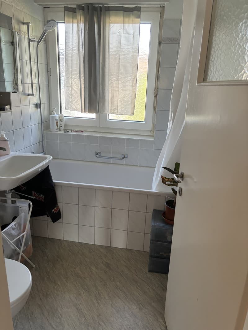 Möblierte 3.5-Zimmer-Wohnung zur Zwischenmiete (5)