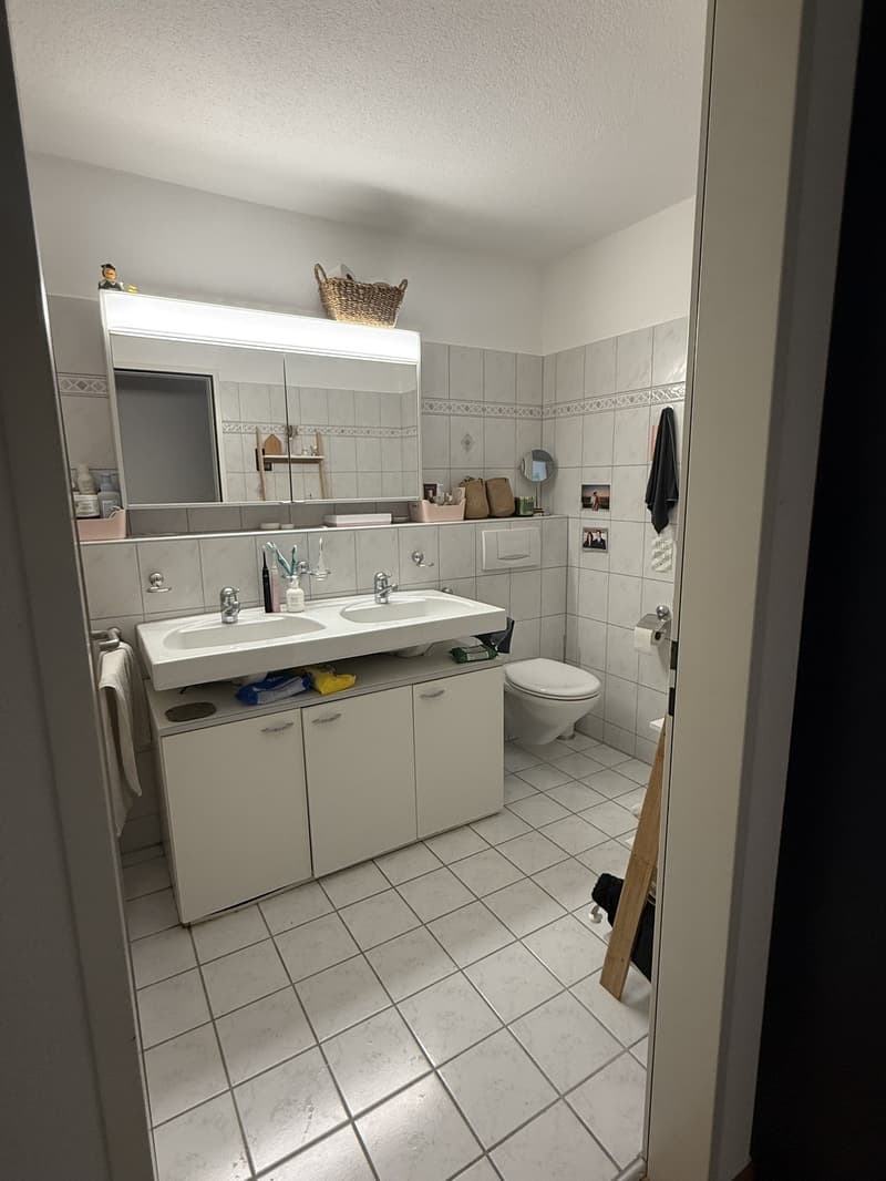 3.5 Zimmer Wohnung (12)