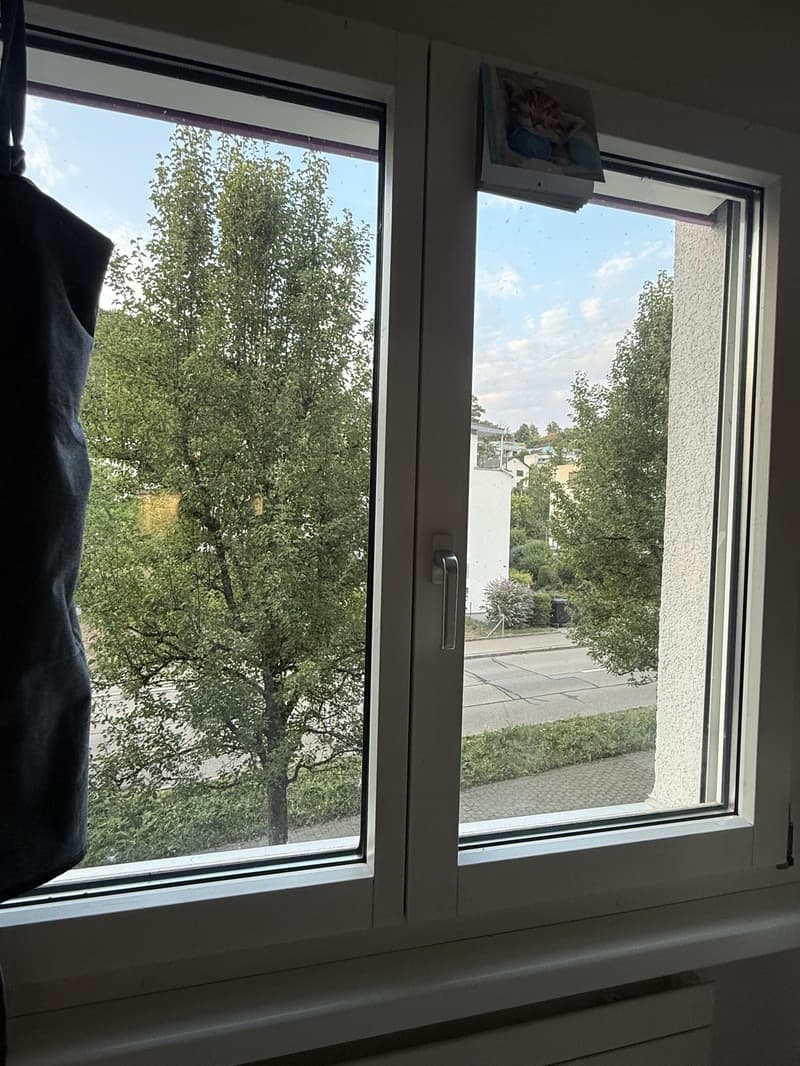 3.5 Zimmer Wohnung (10)
