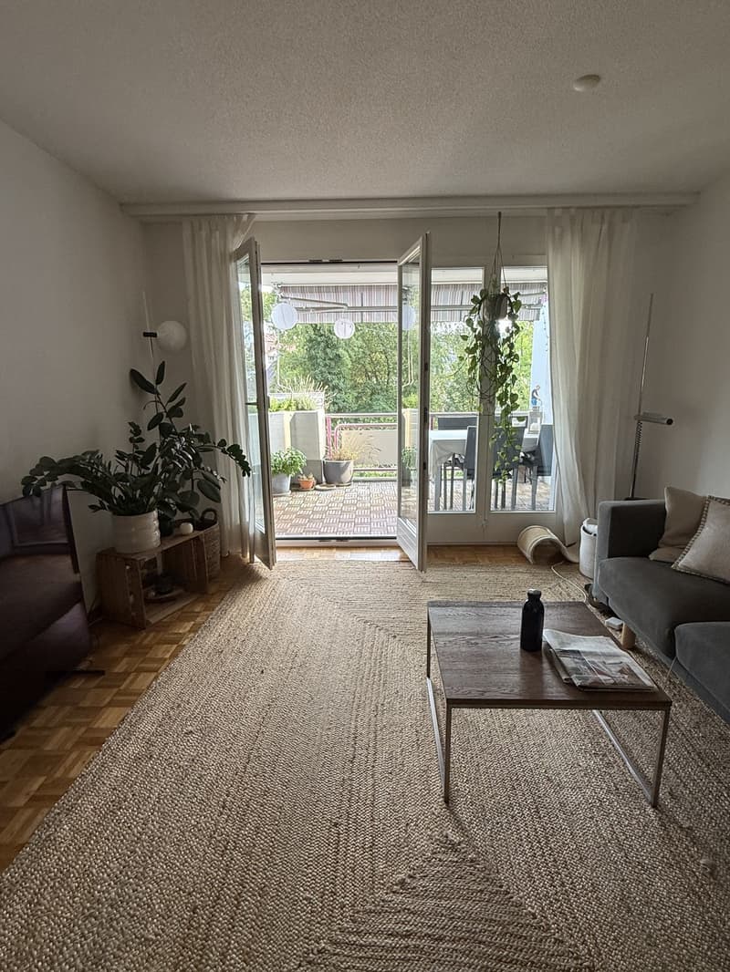 3.5 Zimmer Wohnung (6)