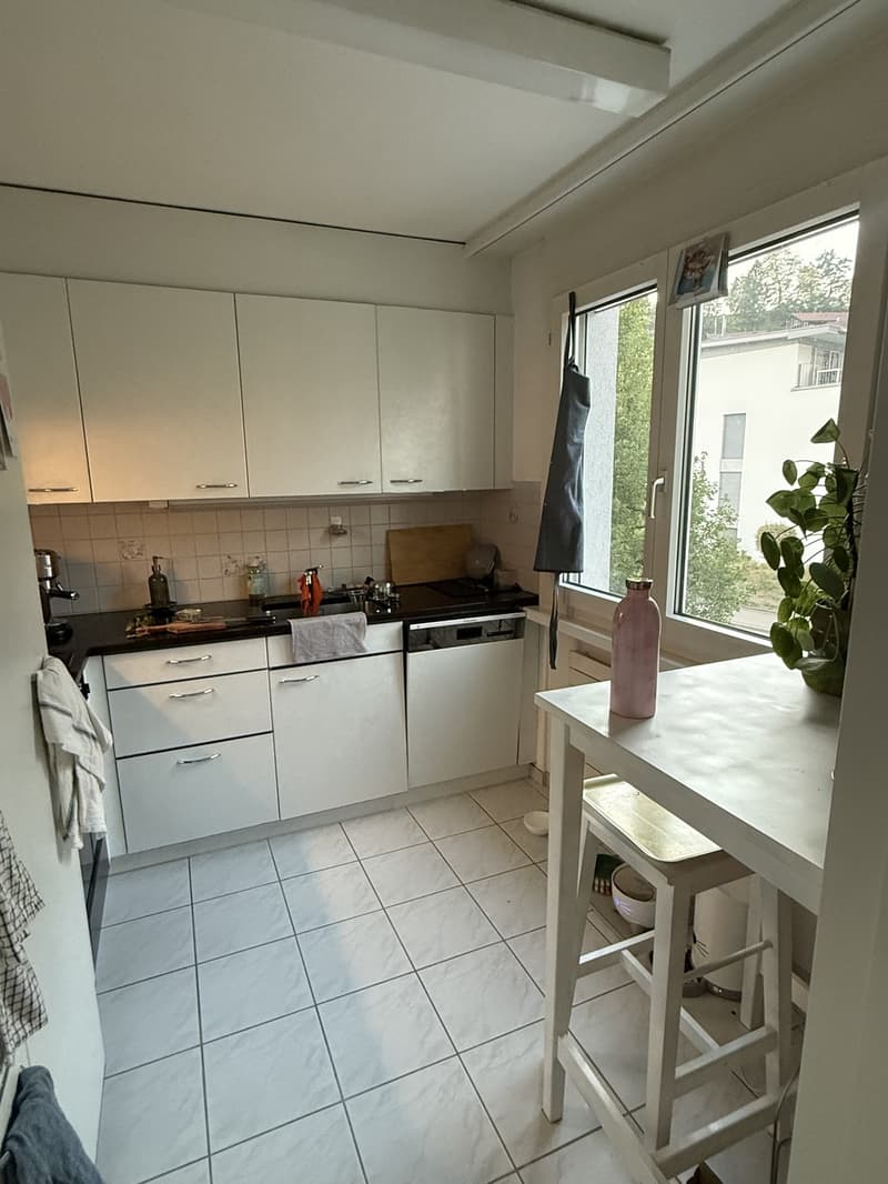 3.5 Zimmer Wohnung (8)