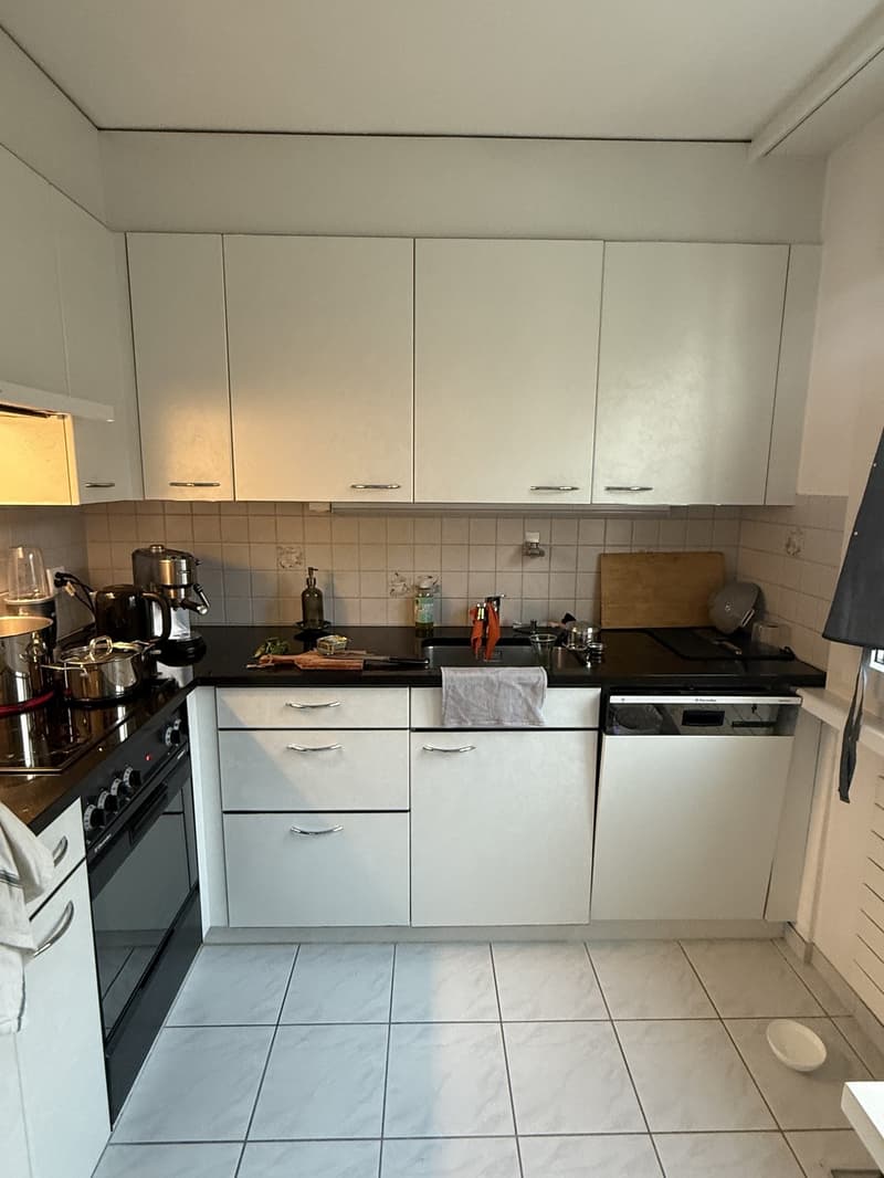 3.5 Zimmer Wohnung (9)