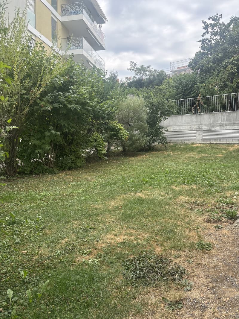 Apartement 4 1/2 avec jardin (9)