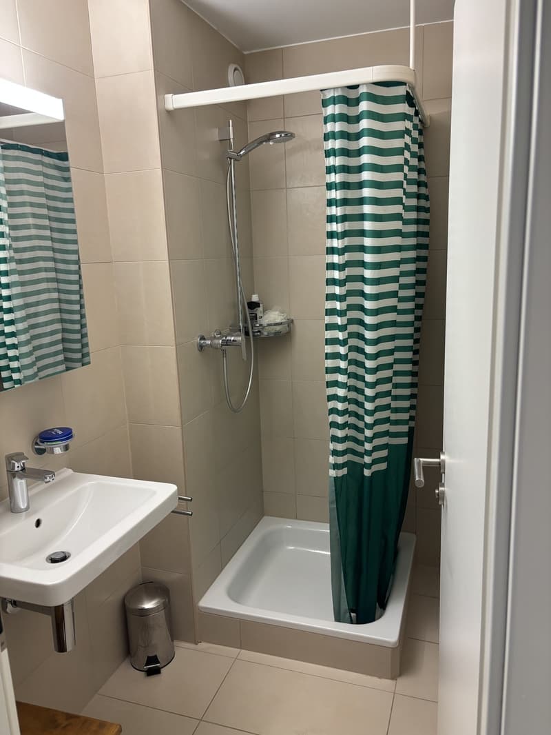 Apartement 4 1/2 avec jardin (4)
