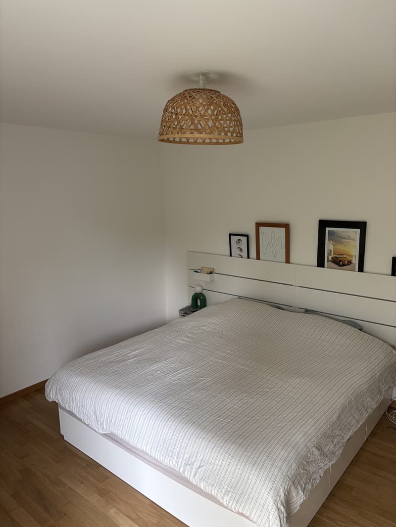 Apartement 4 1/2 avec jardin (6)