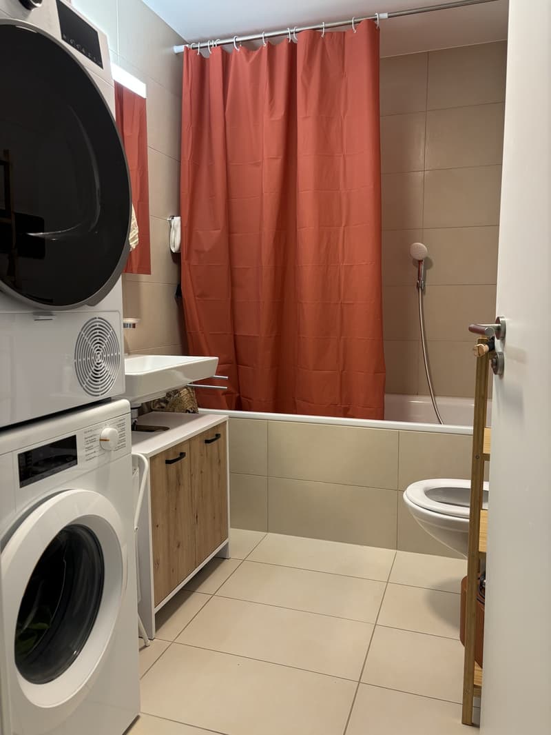 Apartement 4 1/2 avec jardin (7)
