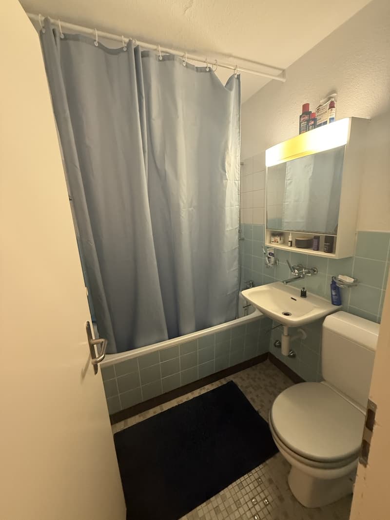 2 Zimmer Wohnung in Rüti ZH (6)