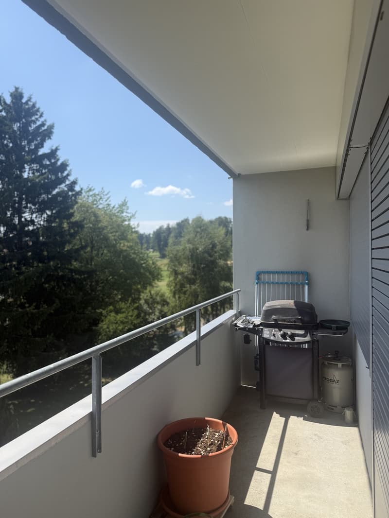 2 Zimmer Wohnung in Rüti ZH (7)