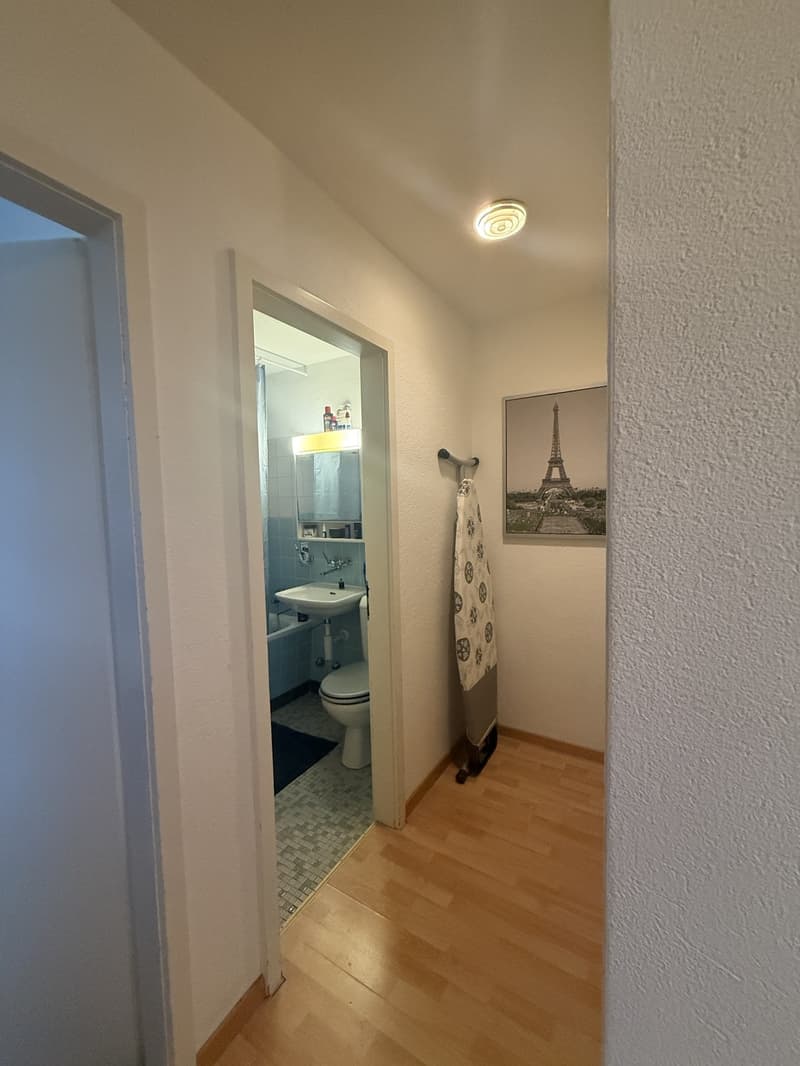 2 Zimmer Wohnung in Rüti ZH (3)