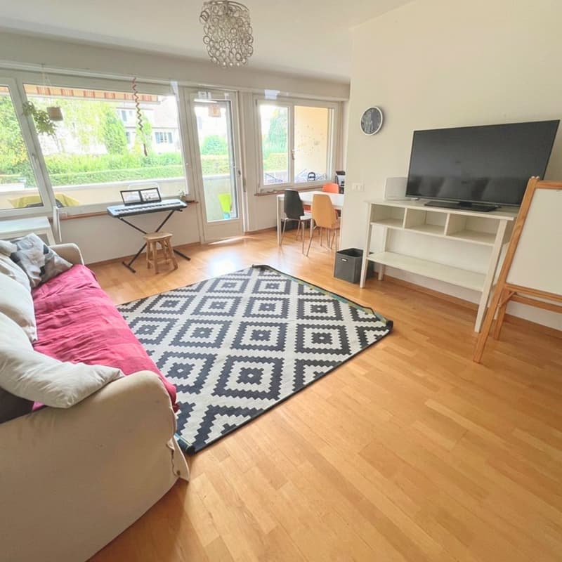 Sunny Apartment by the Lake in Biel  Looking for a Nachmieter (8)