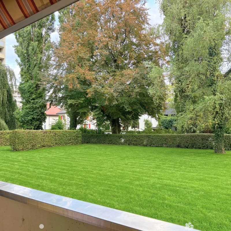 Sunny Apartment by the Lake in Biel  Looking for a Nachmieter (3)