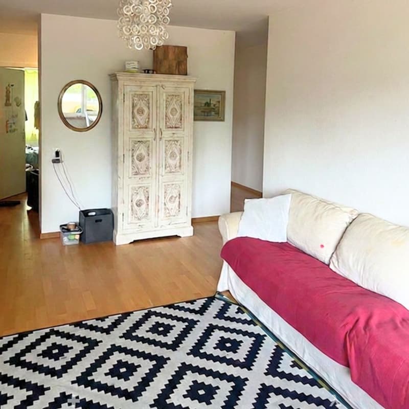 Sunny Apartment by the Lake in Biel  Looking for a Nachmieter (7)