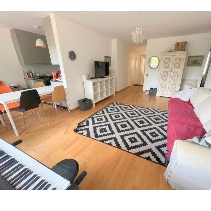 Sunny Apartment by the Lake in Biel  Looking for a Nachmieter (9)