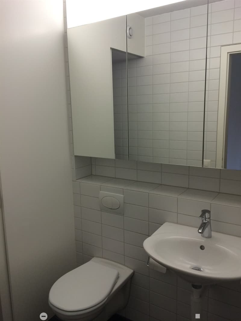 Sunny Apartment by the Lake in Biel  Looking for a Nachmieter (6)