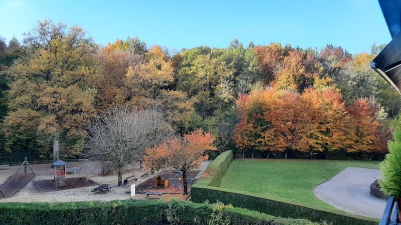 3 rooms apartment, 1022 Chavannes-près-Renens (5)