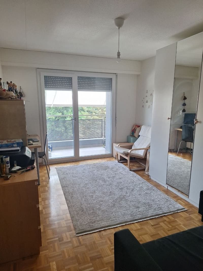 3 rooms apartment, 1022 Chavannes-près-Renens (4)
