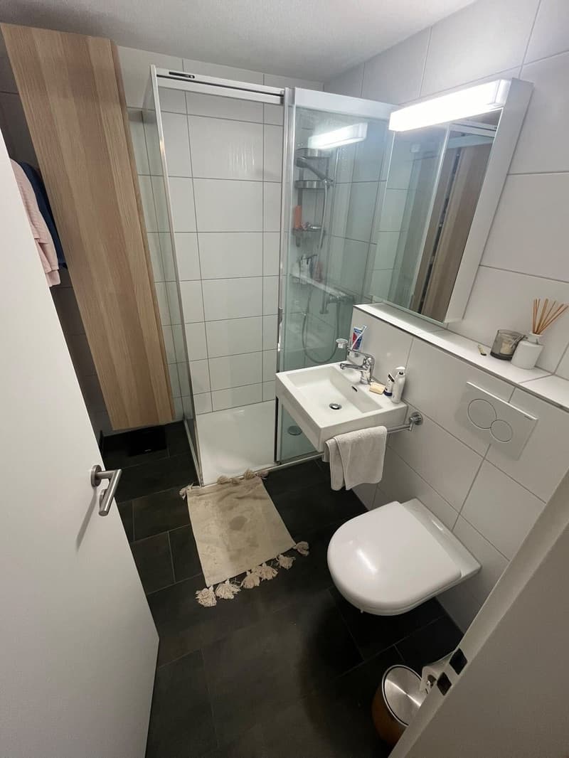 Appartement 3 ½ pièces, 8004 Zurich (9)