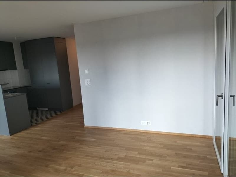 Appartement 4 ½ pièces, 1030 bussigny (2)