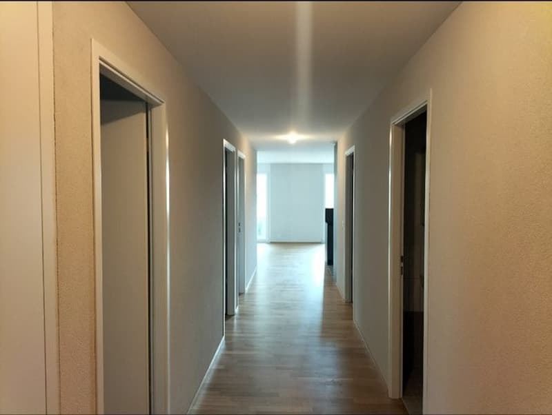 Appartement 4 ½ pièces, 1030 bussigny (11)