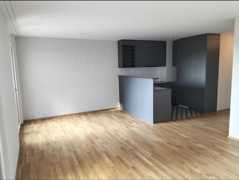 Appartement 4 ½ pièces, 1030 bussigny (9)