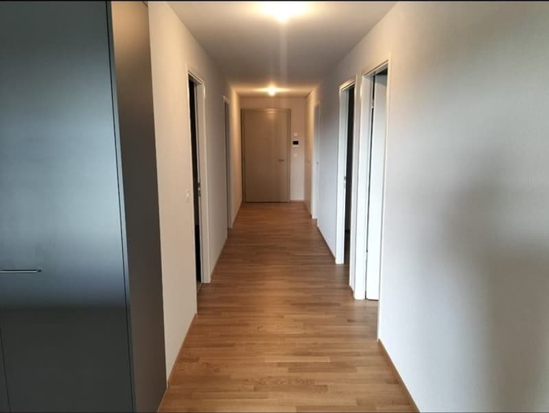 Appartement 4 ½ pièces, 1030 bussigny (7)