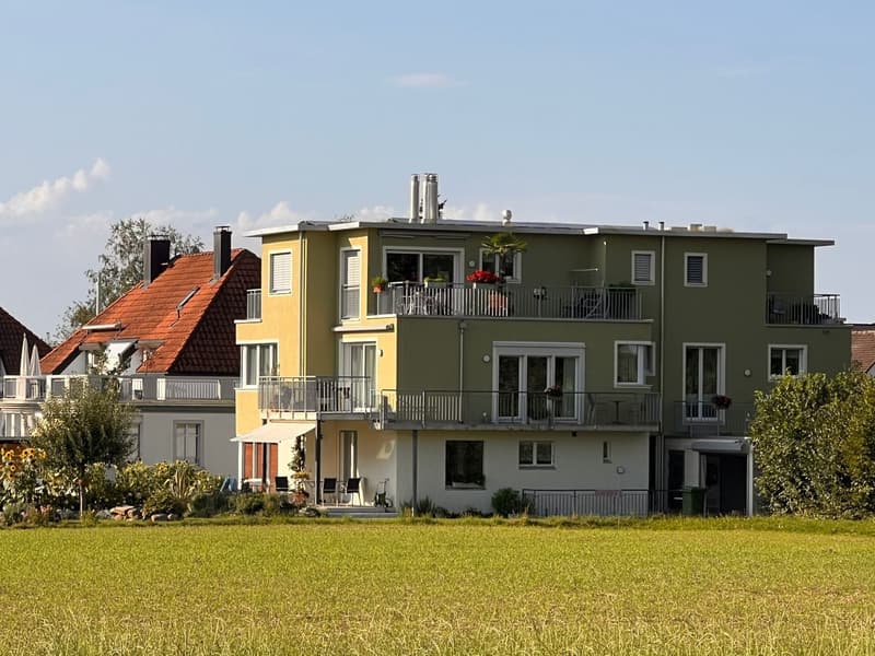 2 1/2- Zimmer Attikawohnung möbliert befristet (2)