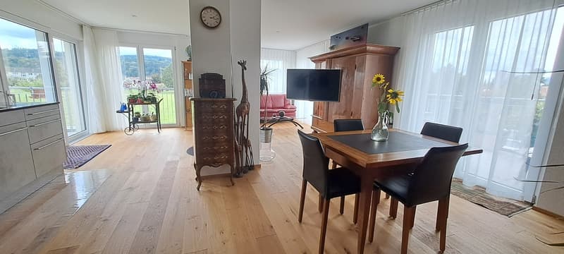 2 1/2- Zimmer Attikawohnung möbliert befristet (4)