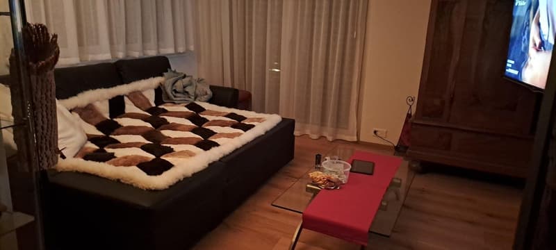 2 1/2- Zimmer Attikawohnung möbliert befristet (6)