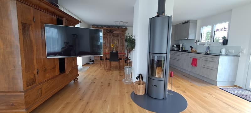 2 1/2- Zimmer Attikawohnung möbliert befristet (1)