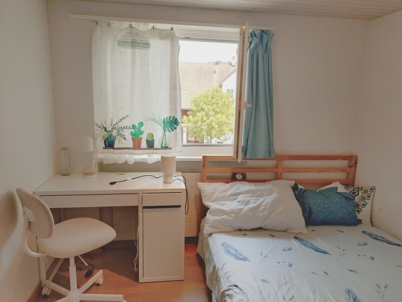 WG-Zimmer in Bonstetten (ZH) Nachmieter gesucht(befristet bis März 2027) (2)