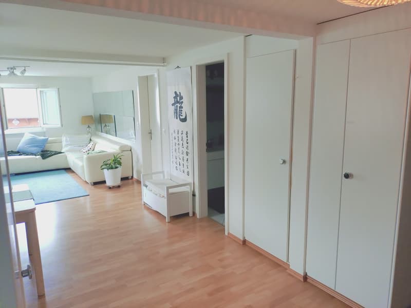 WG-Zimmer in Bonstetten (ZH) Nachmieter gesucht(befristet bis März 2027) (6)