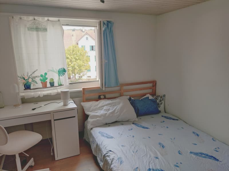 WG-Zimmer in Bonstetten (ZH) Nachmieter gesucht(befristet bis März 2027) (3)