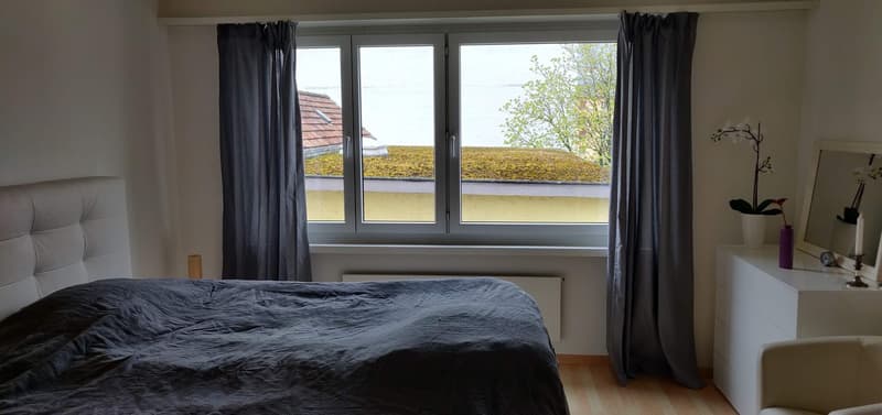2 months (Mid September to Mid November) Sublet for central furnished apartment in Zurich (5)
