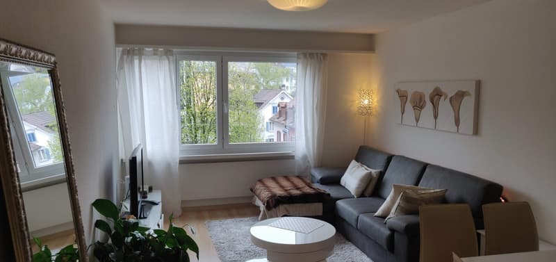 2 months (Mid September to Mid November) Sublet for central furnished apartment in Zurich (1)
