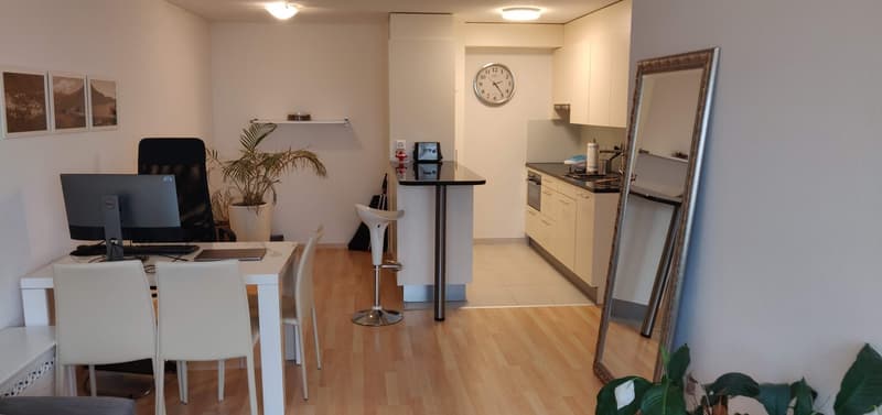 2 months (Mid September to Mid November) Sublet for central furnished apartment in Zurich (3)