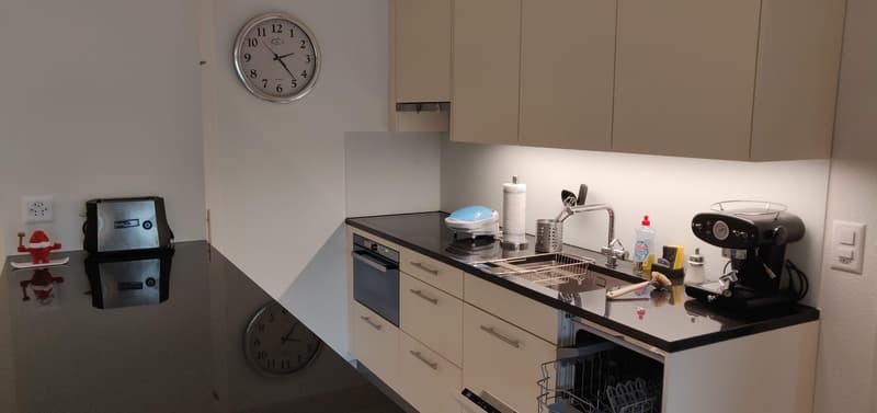 2 months (Mid September to Mid November) Sublet for central furnished apartment in Zurich (4)