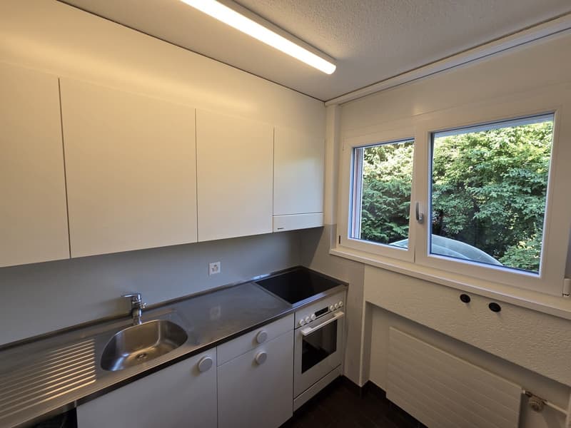 For rent 3.5 zimmer apartment - pets available (3)